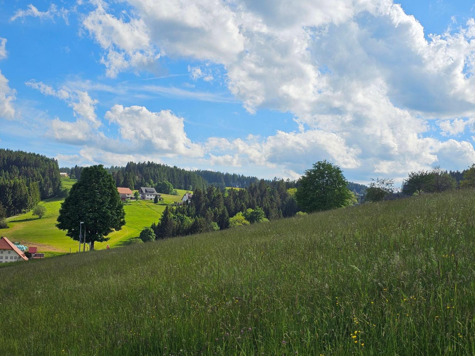 Miuti Residence Triberg im Schwarzwald ภายนอก รูปภาพ