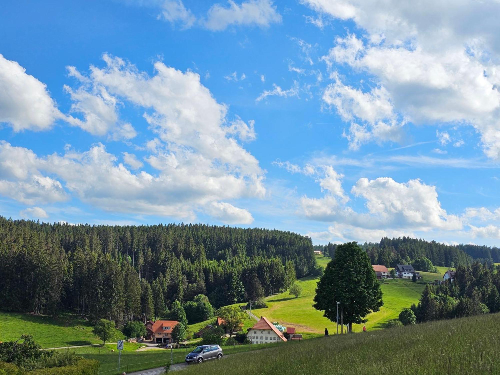 Miuti Residence Triberg im Schwarzwald ภายนอก รูปภาพ